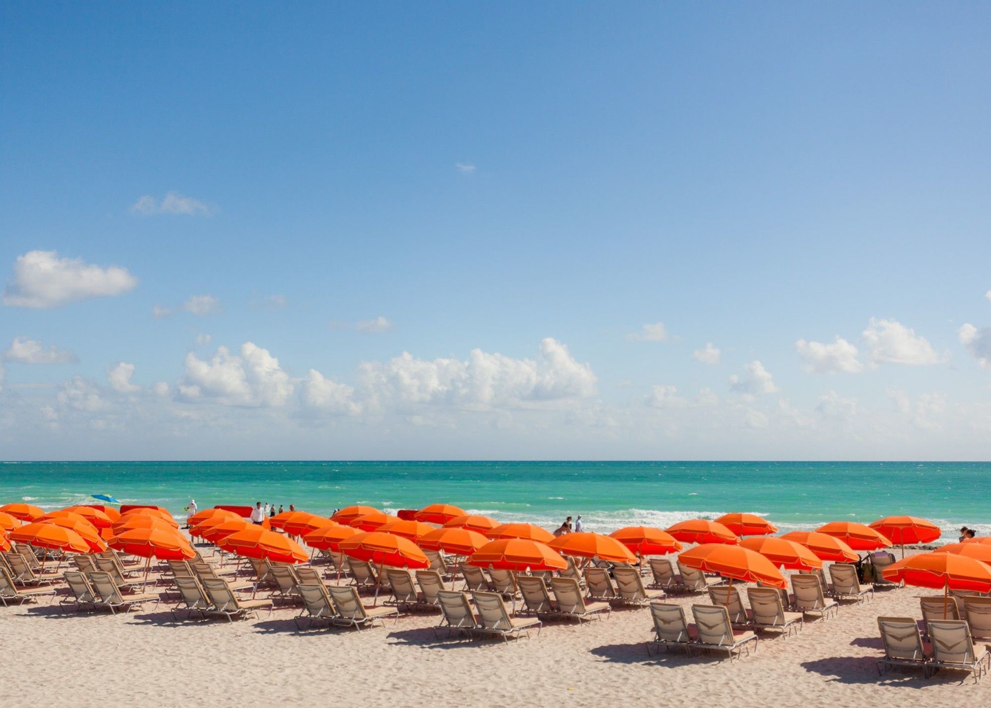 Station touristique Royal Palm South Miami, A Tribute Portfolio Miami Beach